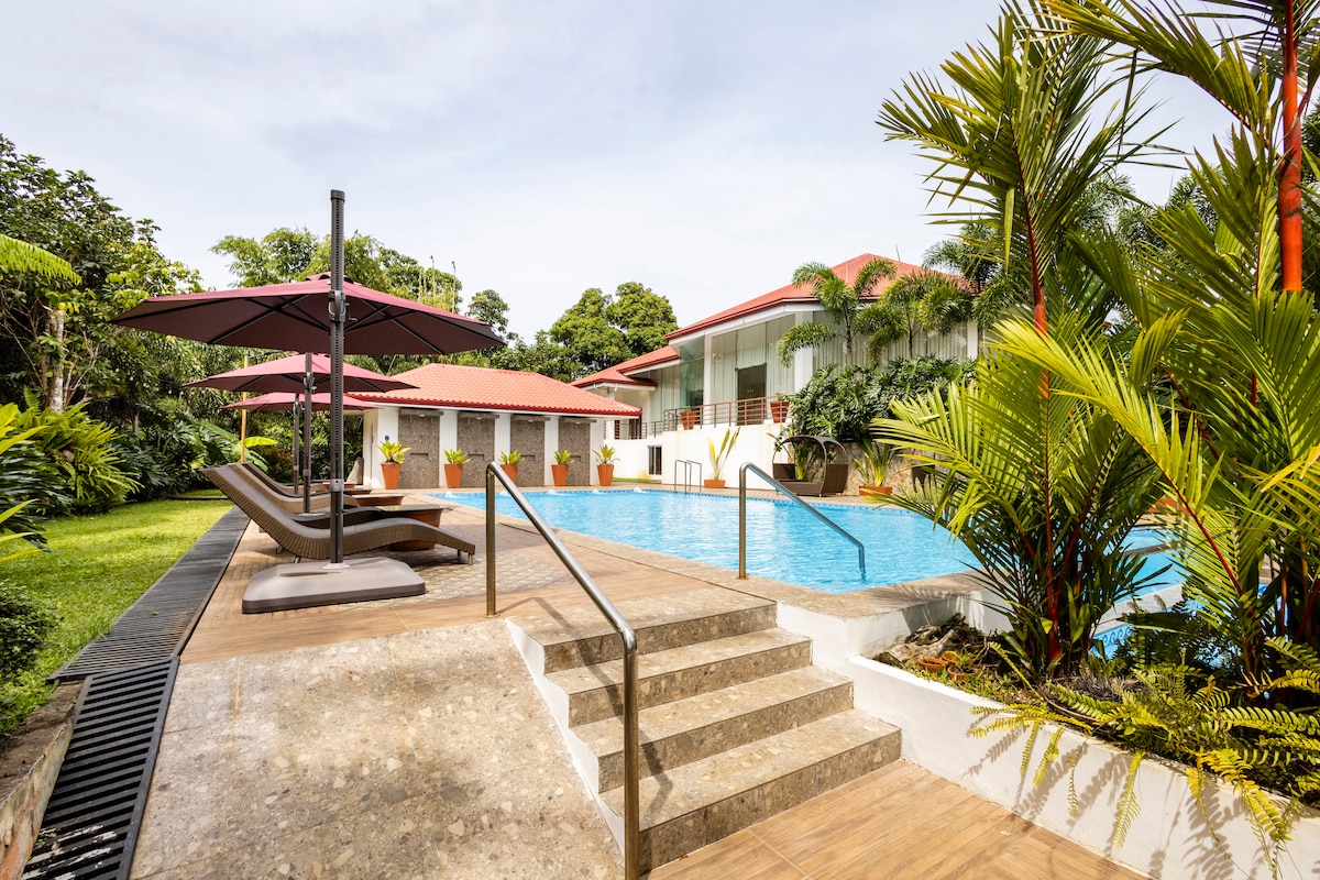 A serene pool area is surrounded by lush greenery and tropical plants. Comfortable lounge chairs are positioned under large umbrellas, providing shaded relaxation. Steps lead into the sparkling water, inviting guests to enjoy a refreshing swim in a tranquil outdoor setting.