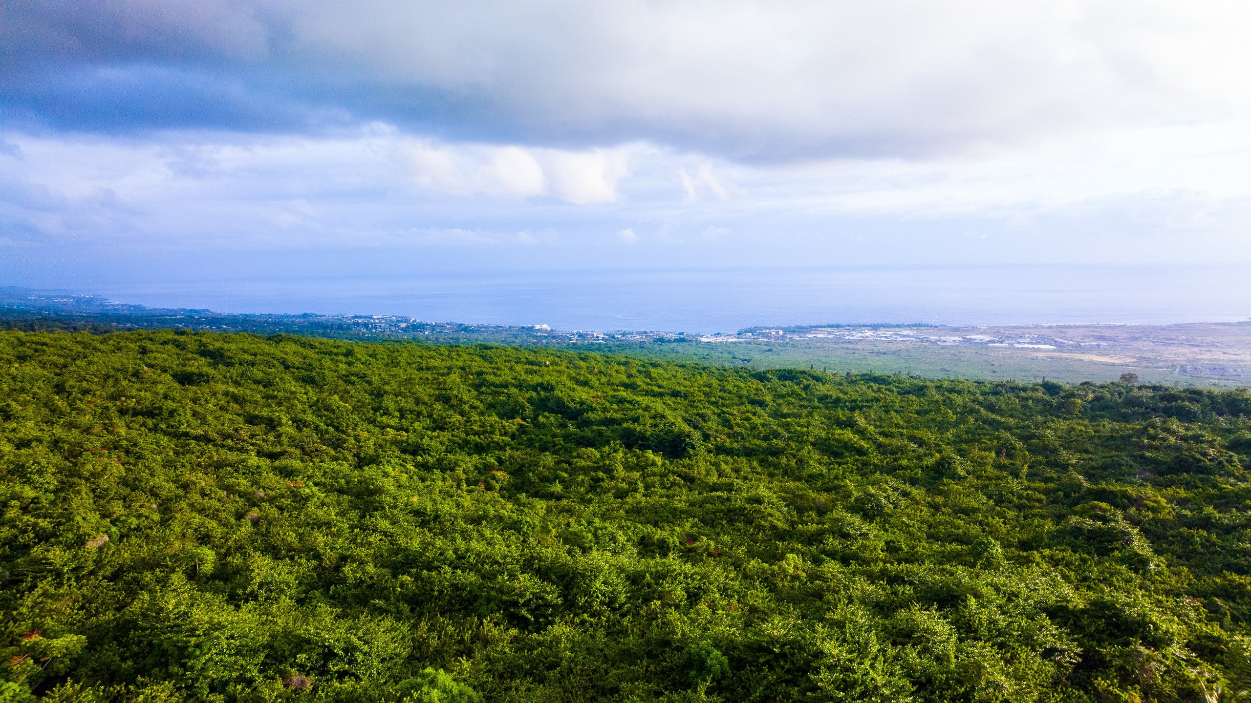 Home in Kailua-Kona · ★4.92 · 3 bedrooms · 4 beds · 2 private baths - Image 22
