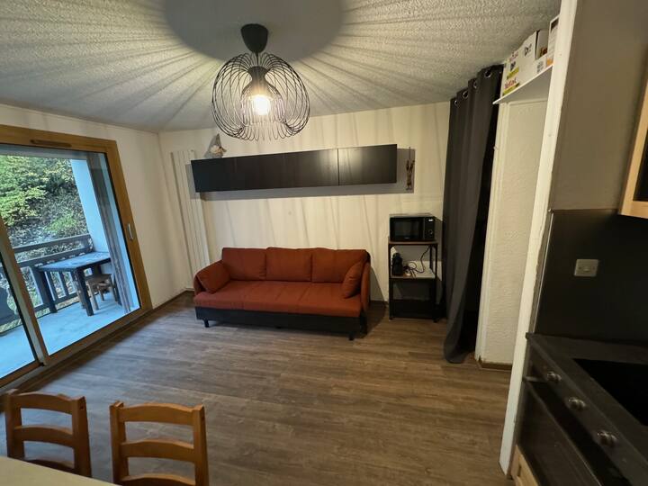Superbe Appartement En Cœur De Station Et Piste ! - Les Deux Alpes