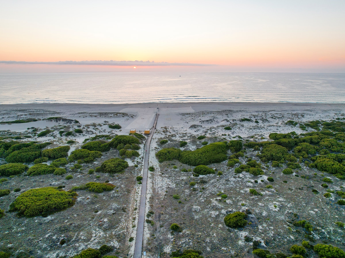 A serene beach landscape is depicted with soft sand and lush green vegetation leading to the water's edge. The horizon showcases a pastel sunset, reflecting warm hues over the calm ocean. The pathway, visible in the image, invites exploration towards the shoreline.