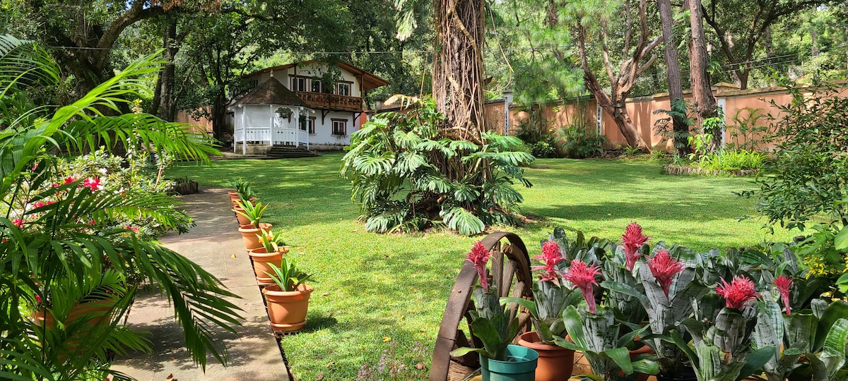 A spacious garden is surrounded by lush greenery and vibrant plants in terracotta pots. A charming two-story cabin is visible in the background, bordered by tall trees that provide shade. The scenery depicts a serene outdoor environment perfect for relaxation.