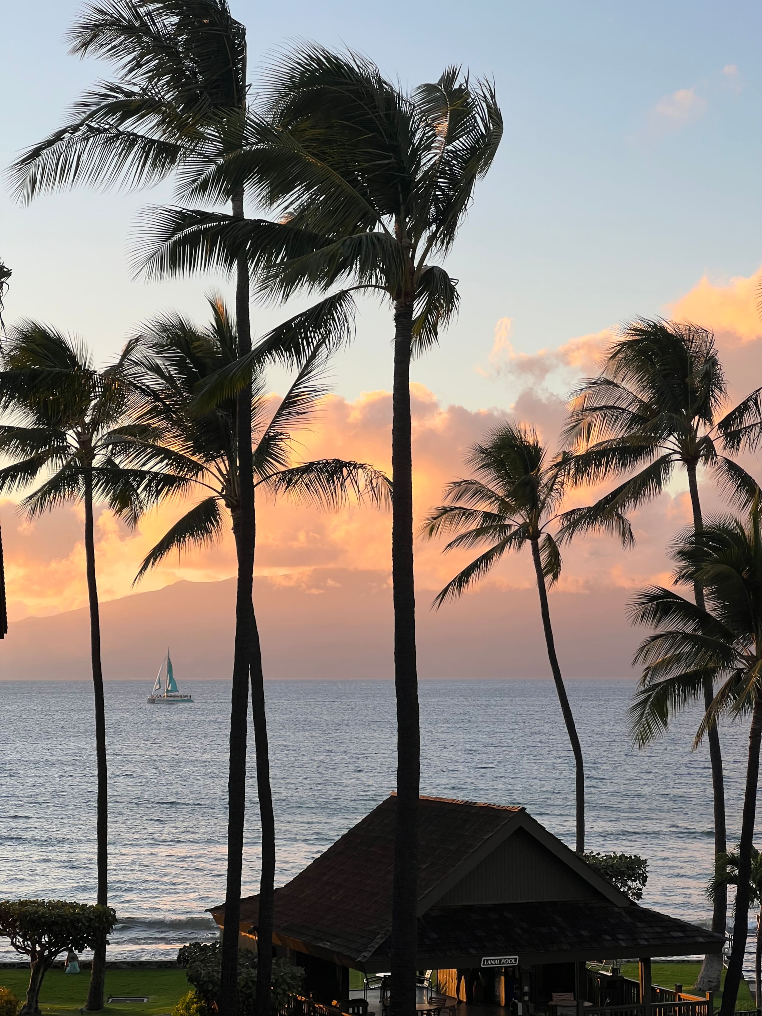 Condo in Lahaina · ★5.0 · 2 bedrooms · 4 beds · 2 shared baths - Image 12
