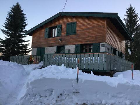 Chalet Monts d'Olmes: skis on your feet