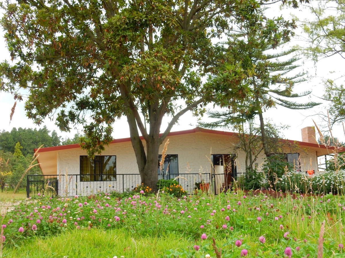 The exterior of a single-story house is surrounded by a lush garden filled with colorful flowers. A large tree provides shade near the entrance, and wide windows illuminate the interior. The structure features a red roof and is set against a backdrop of natural greenery.