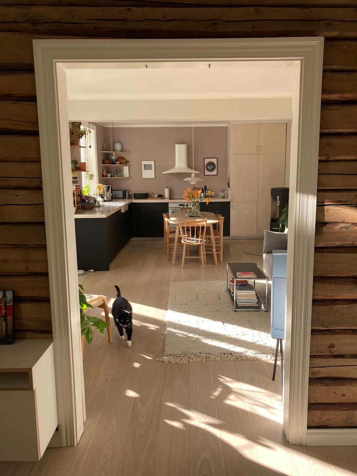 A view through an open doorway reveals a spacious kitchen and living area, accented by wooden walls. The kitchen features black cabinets and a central dining table, while a cat walks along the textured floor, illuminated by natural light.
