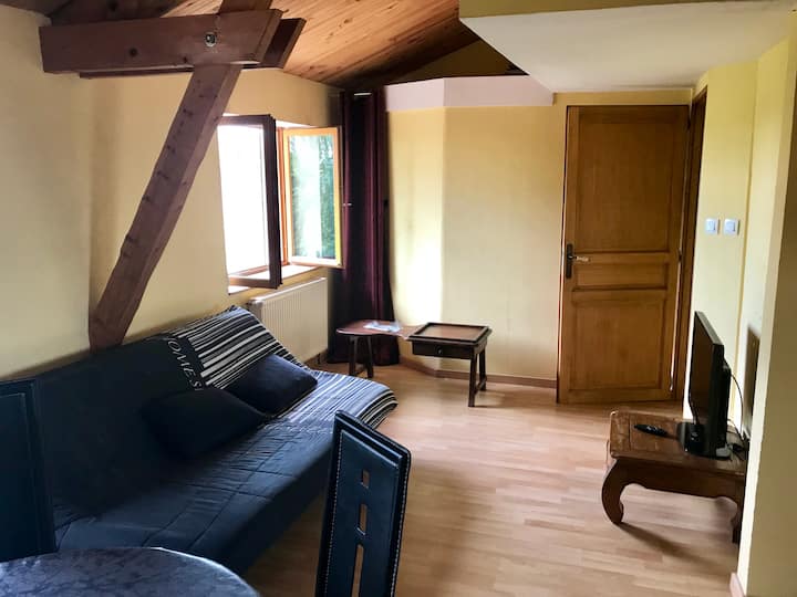 Grand T2 En Campagne Sur L'axe Lyon-alpes - Bourgoin-Jallieu