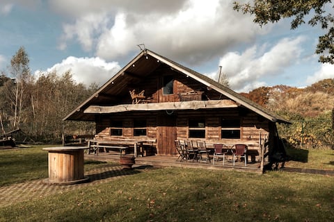 Remote log cabin surrounded by greenery