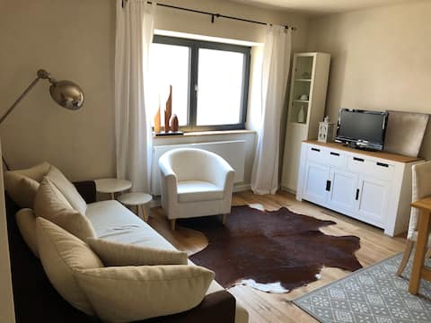 Top performing Airbnb: Cozy apartment in a central location in Bensheim