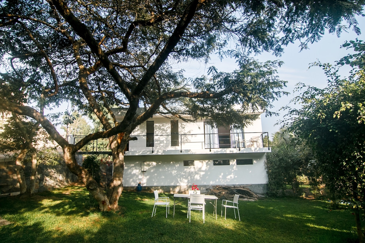 A large tree provides shade over a grassy outdoor area where a set of white chairs and a table are arranged. The two-story building in the background features a balcony and large windows, surrounded by lush greenery.