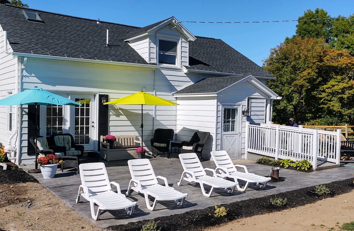 A spacious outdoor patio area is equipped with six lounge chairs arranged neatly alongside a wooden deck. Colorful umbrellas provide shade, and potted flowers add a touch of greenery. The cottage's entrance is visible, along with a side door leading to additional outdoor space.