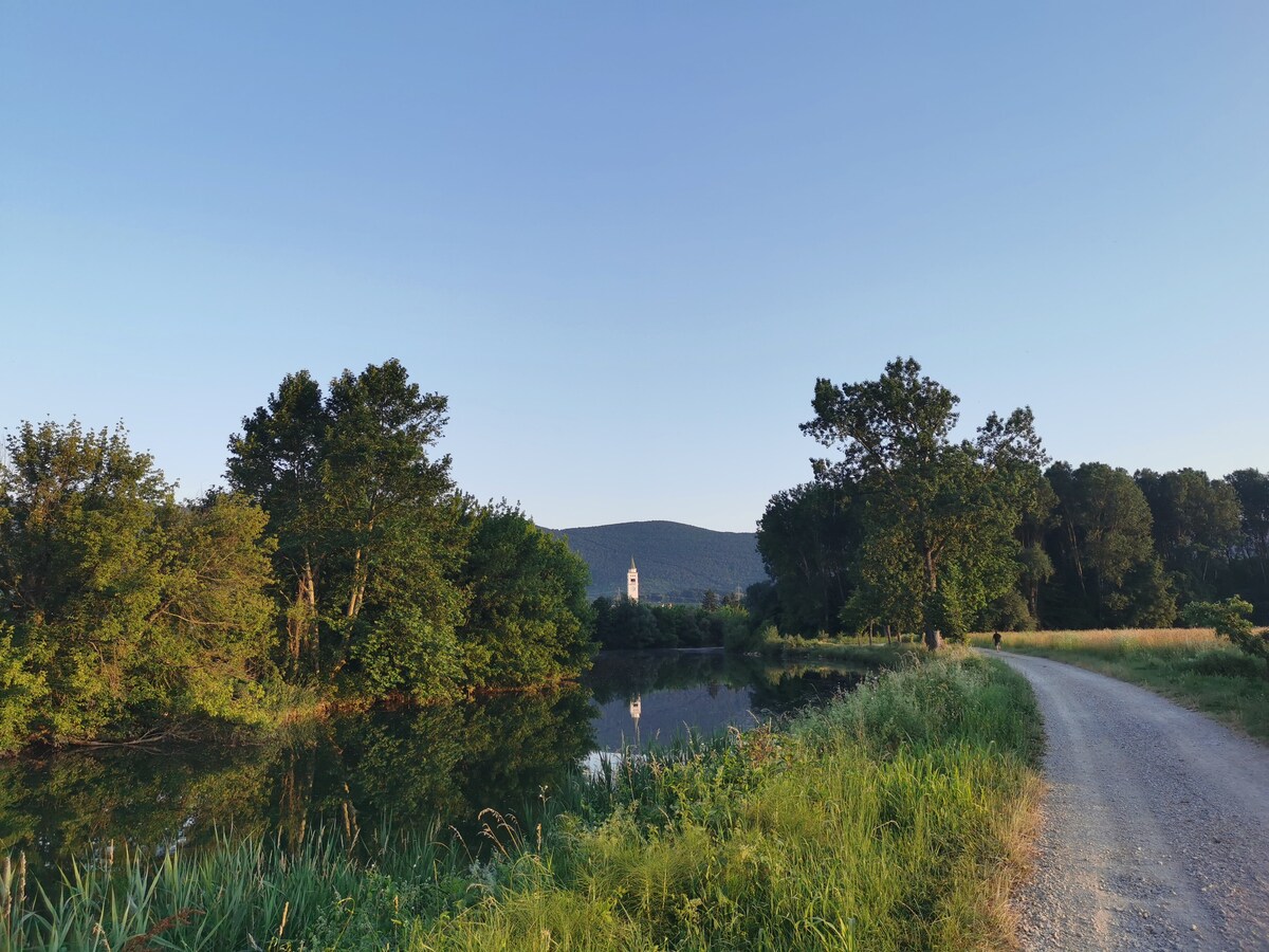 A serene landscape is depicted, featuring a calm body of water reflecting surrounding greenery. A pathway borders the water, leading towards a distant clock tower visible among the trees against a clear sky.