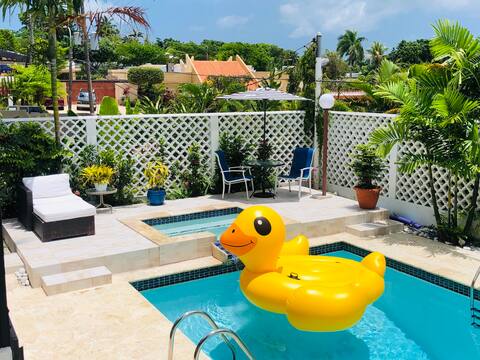 Spacious mansion minutes from San Juan!