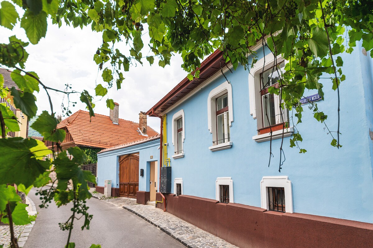 A restored historic home showcases a charming blue exterior, complemented by brown accents. Lush green vines frame the building, while cobblestone streets wind through the peaceful neighborhood. The entrance features a wooden door, adding to the welcoming atmosphere of the property.