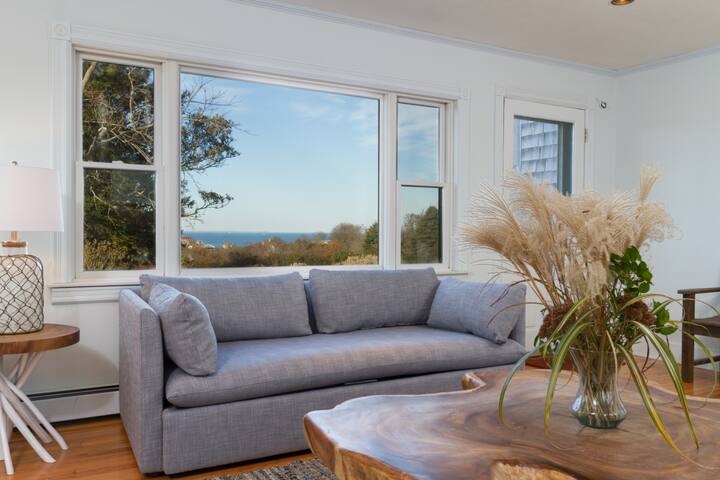 Après Sea -Ocean View, A/C, Private Road, 2ac Yard gallery image 3