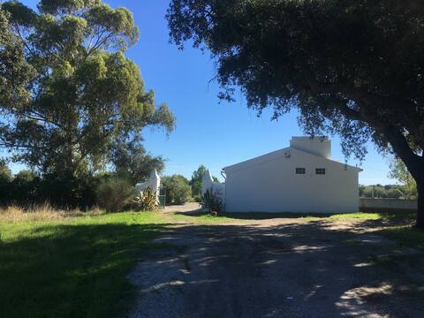 A charming vegetable garden in the heart of Alentejo