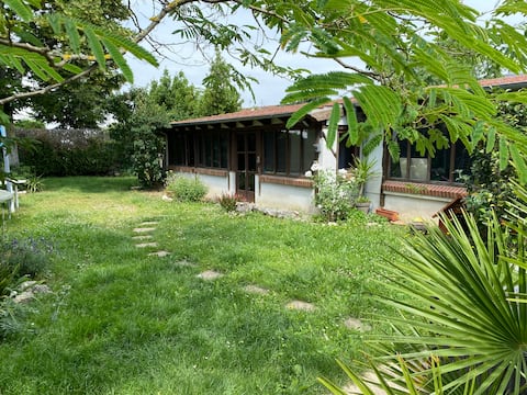 The cabin at the bottom of the garden