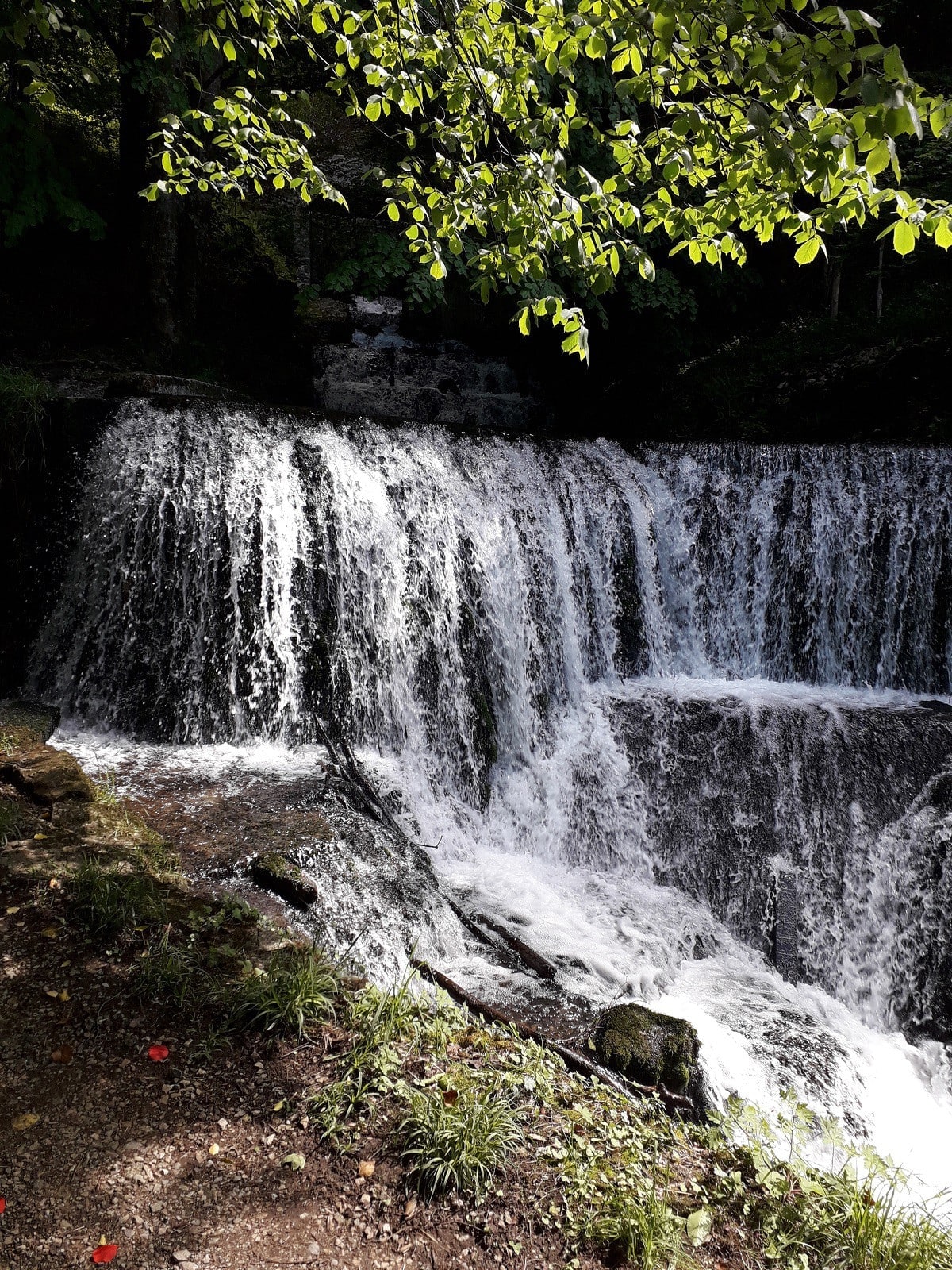 A cascading waterfall flows over rocky ledges, surrounded by lush greenery and trees. The water glistens in the sunlight, creating a serene natural setting. The sound of flowing water can be imagined in this tranquil outdoor environment.