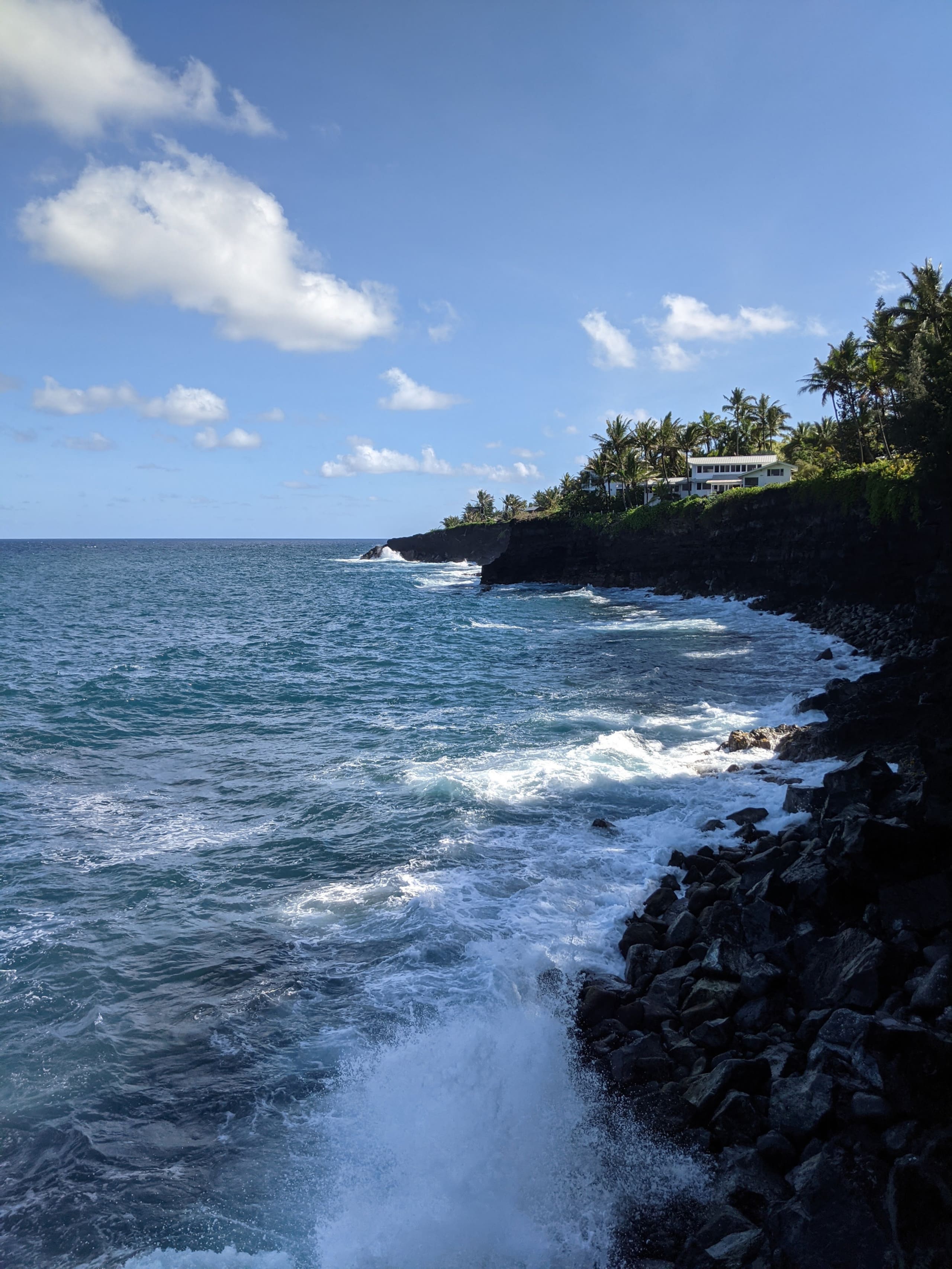 Home in Pahoa · ★4.94 · 2 bedrooms · 2 beds · 2 baths - Image 38