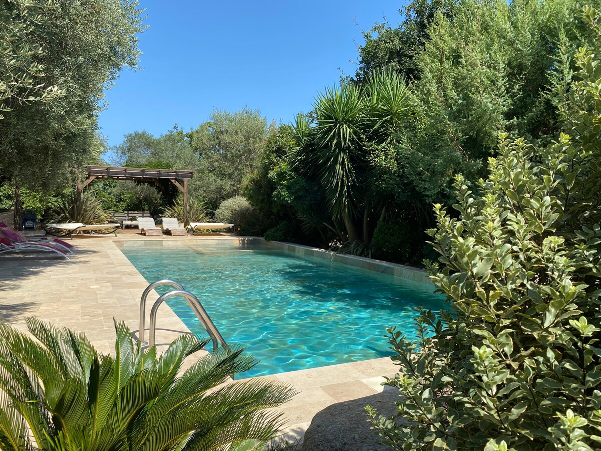 A tranquil outdoor space features a clear blue pool surrounded by lush greenery and mature trees, providing shade. Comfortable loungers are positioned near the water's edge, and a covered seating area is visible in the background, inviting relaxation in a serene environment.