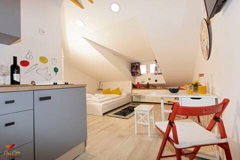 Cozy studio in the heart of Rijeka -Opa 2