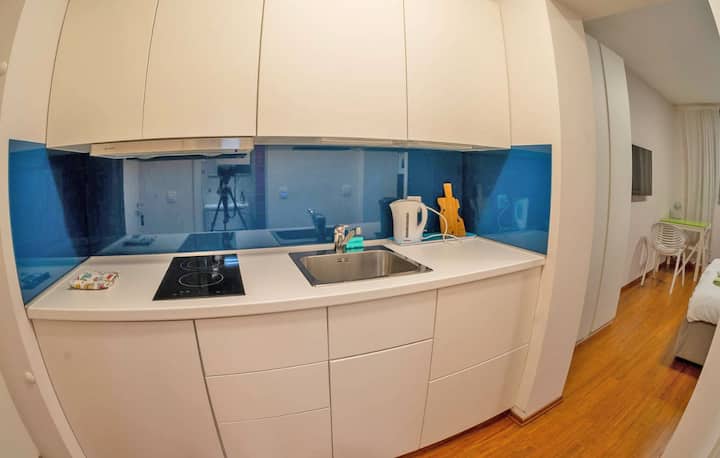 Ljubljana Central Station:  Rosa Studio Apartment - Ljubljana
