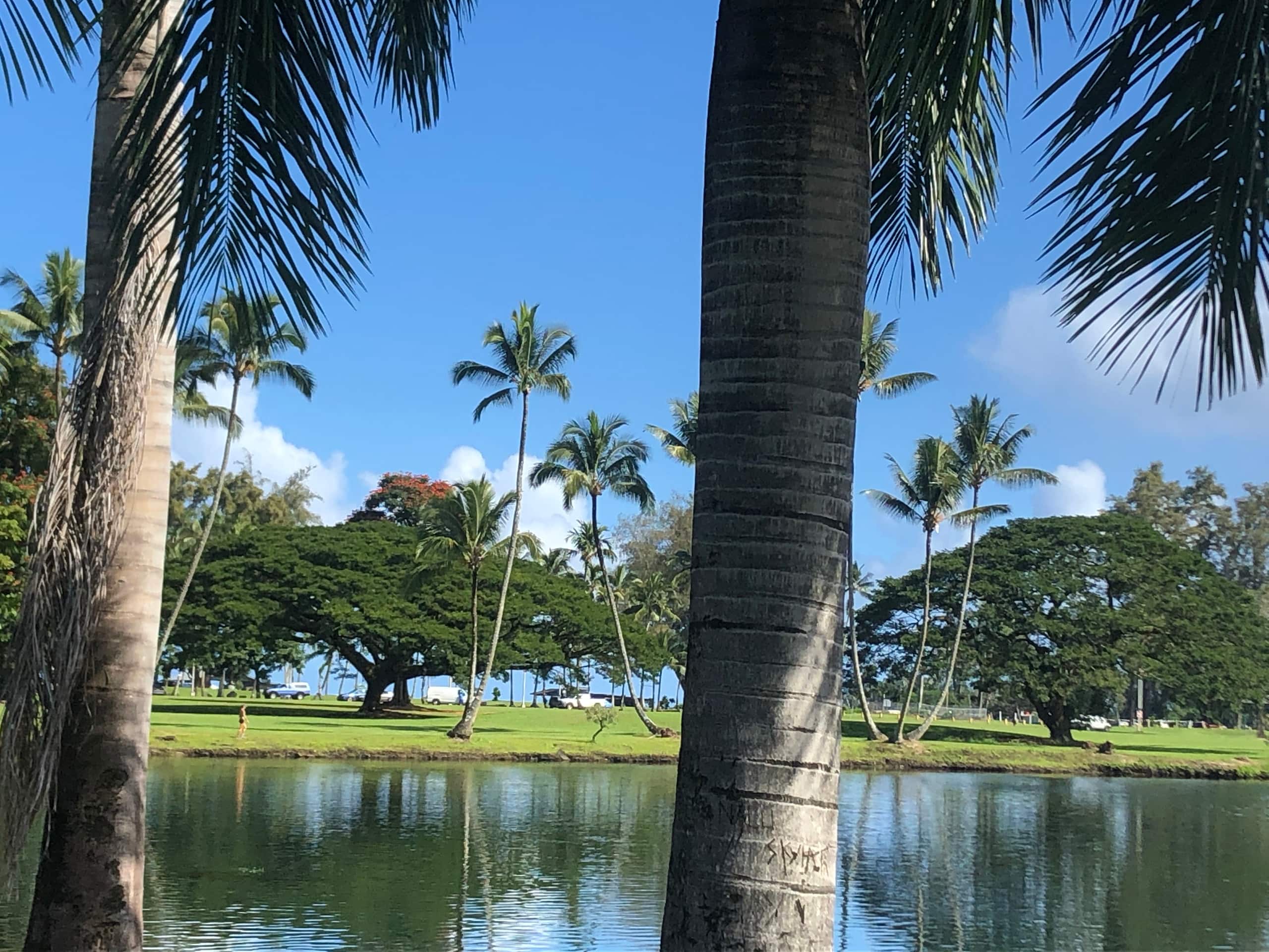 Condo in Hilo · ★4.85 · 2 bedrooms · 2 beds · 2 shared baths - Image 14