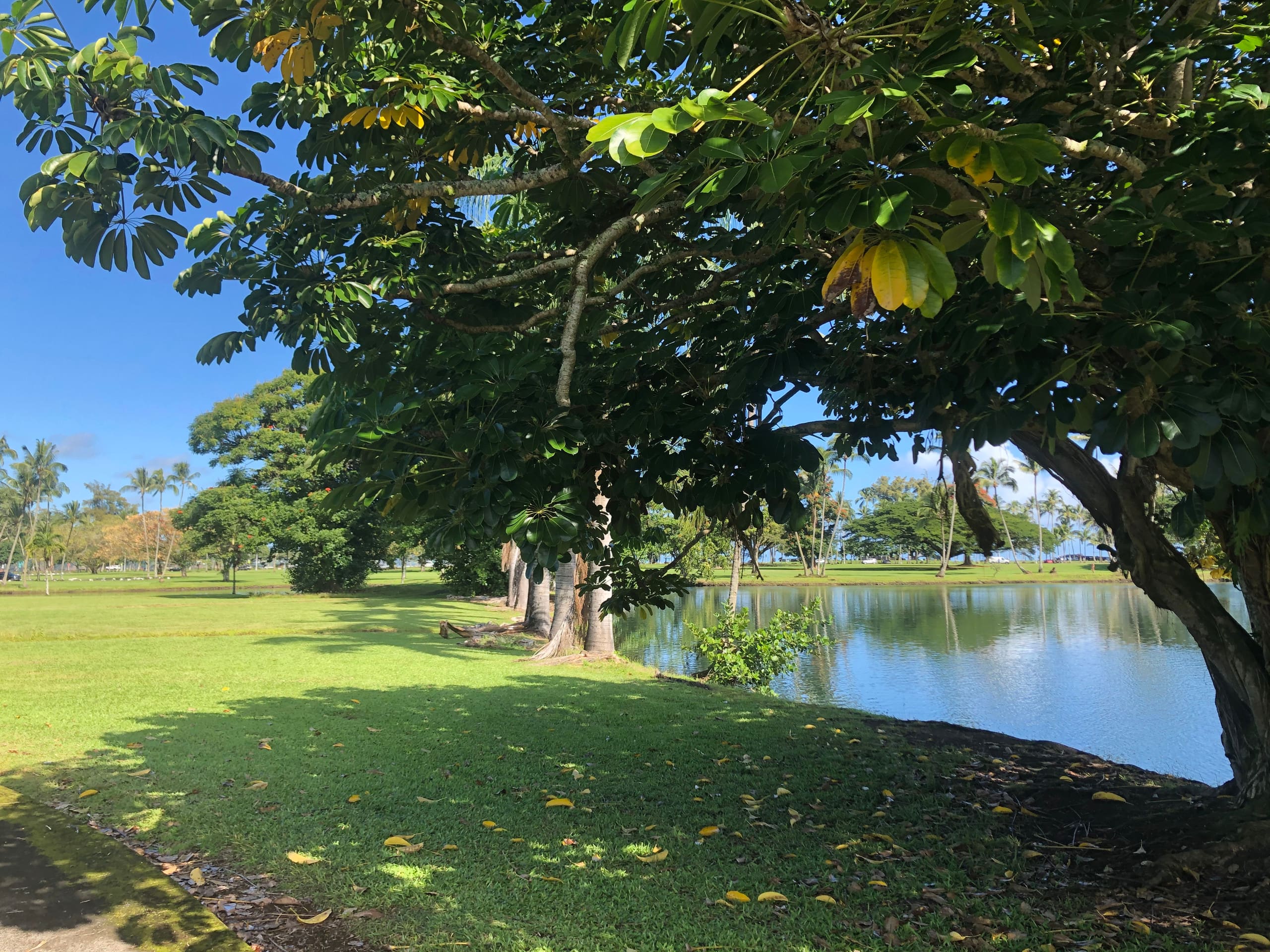 Condo in Hilo · ★4.85 · 2 bedrooms · 2 beds · 2 shared baths - Image 15