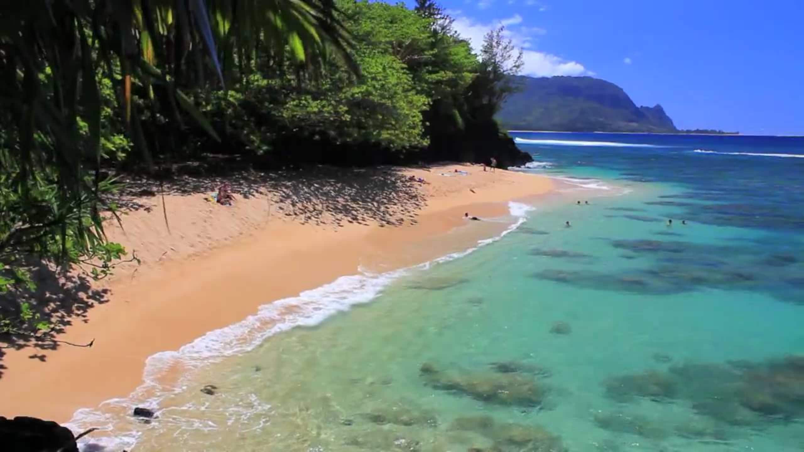 Condo in Princeville · ★5.0 · 1 bedroom · 1 bed · 1.5 baths - Image 28
