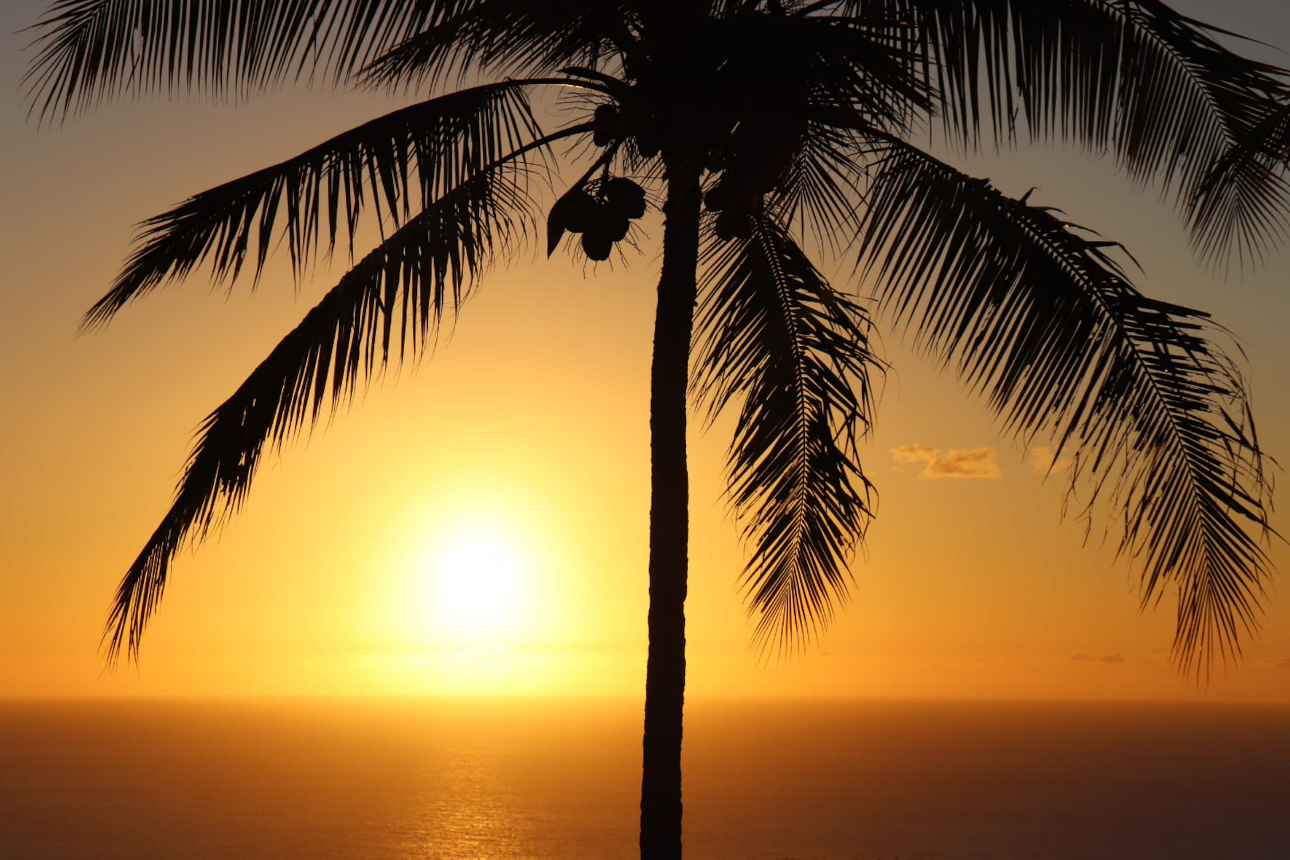 Condo in Princeville · ★5.0 · 1 bedroom · 1 bed · 1.5 baths - Image 30