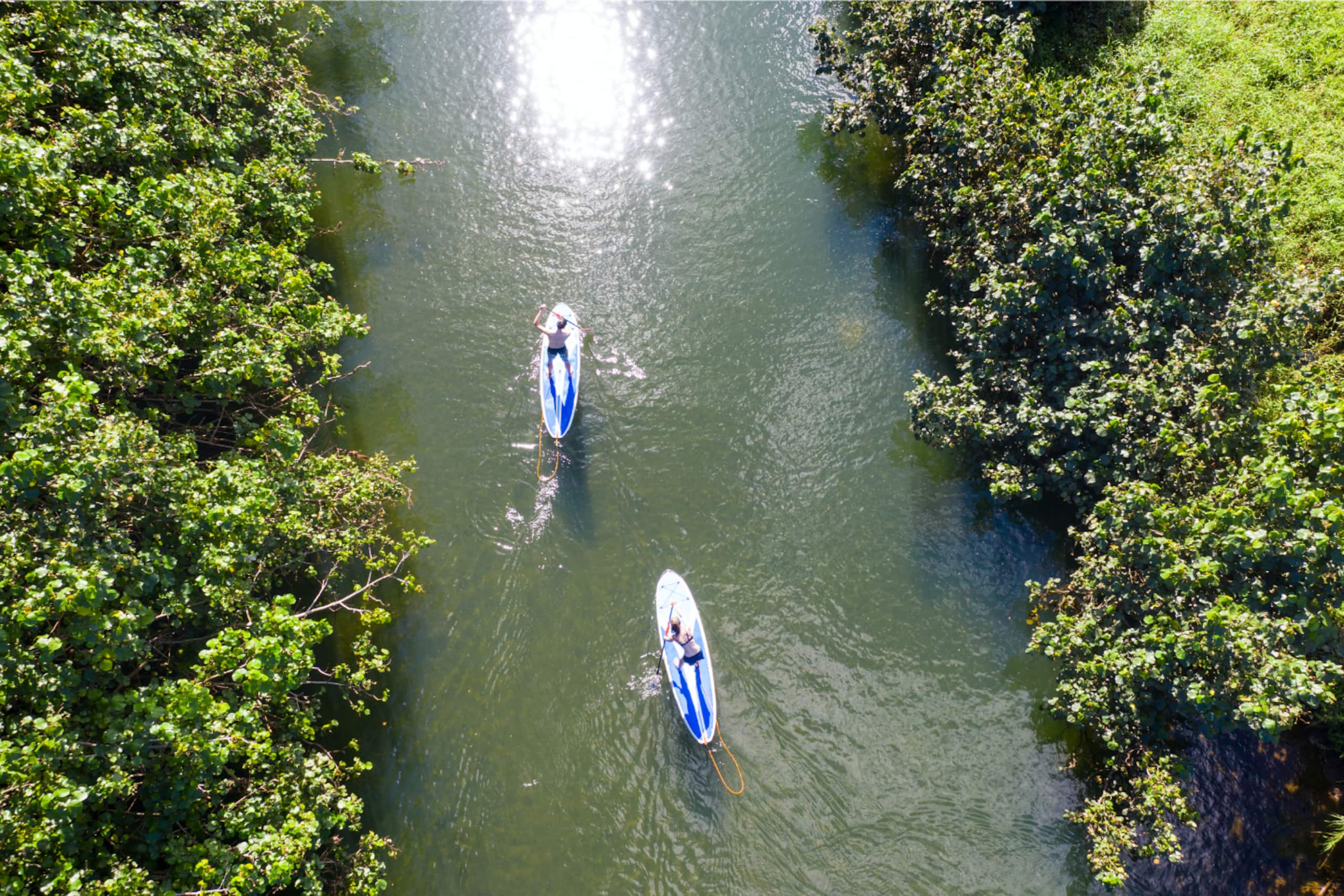 Condo in Princeville · ★5.0 · 1 bedroom · 1 bed · 1.5 baths - Image 24