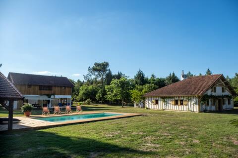 Landes in the heart of the forest - CoPincabana