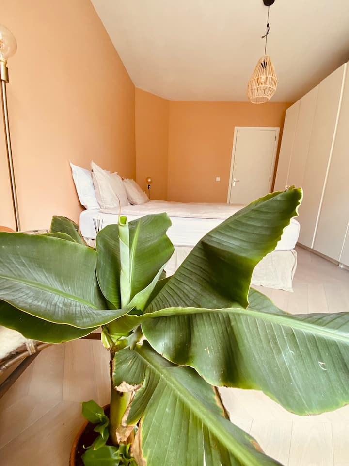 Dhomë gjumi me shumë hapësirë në dollap