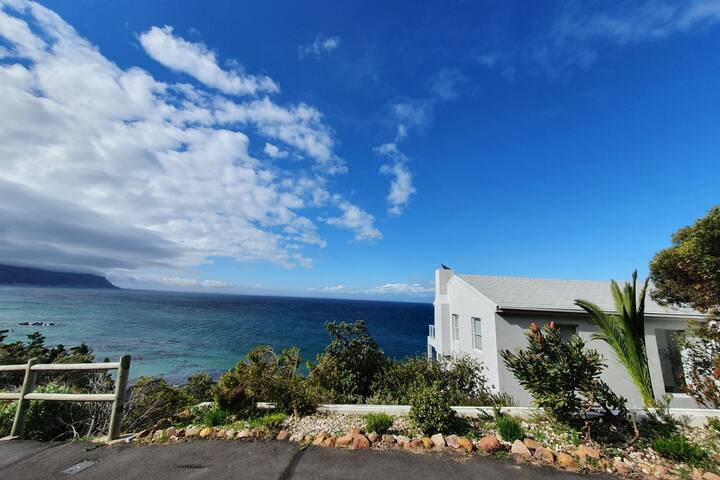 Blue Swallow – Best ocean view from EVERY room! gallery image 3