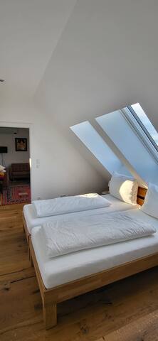 The SKY SUITE MEGA – Vienna Penthouse Suite gallery image 4