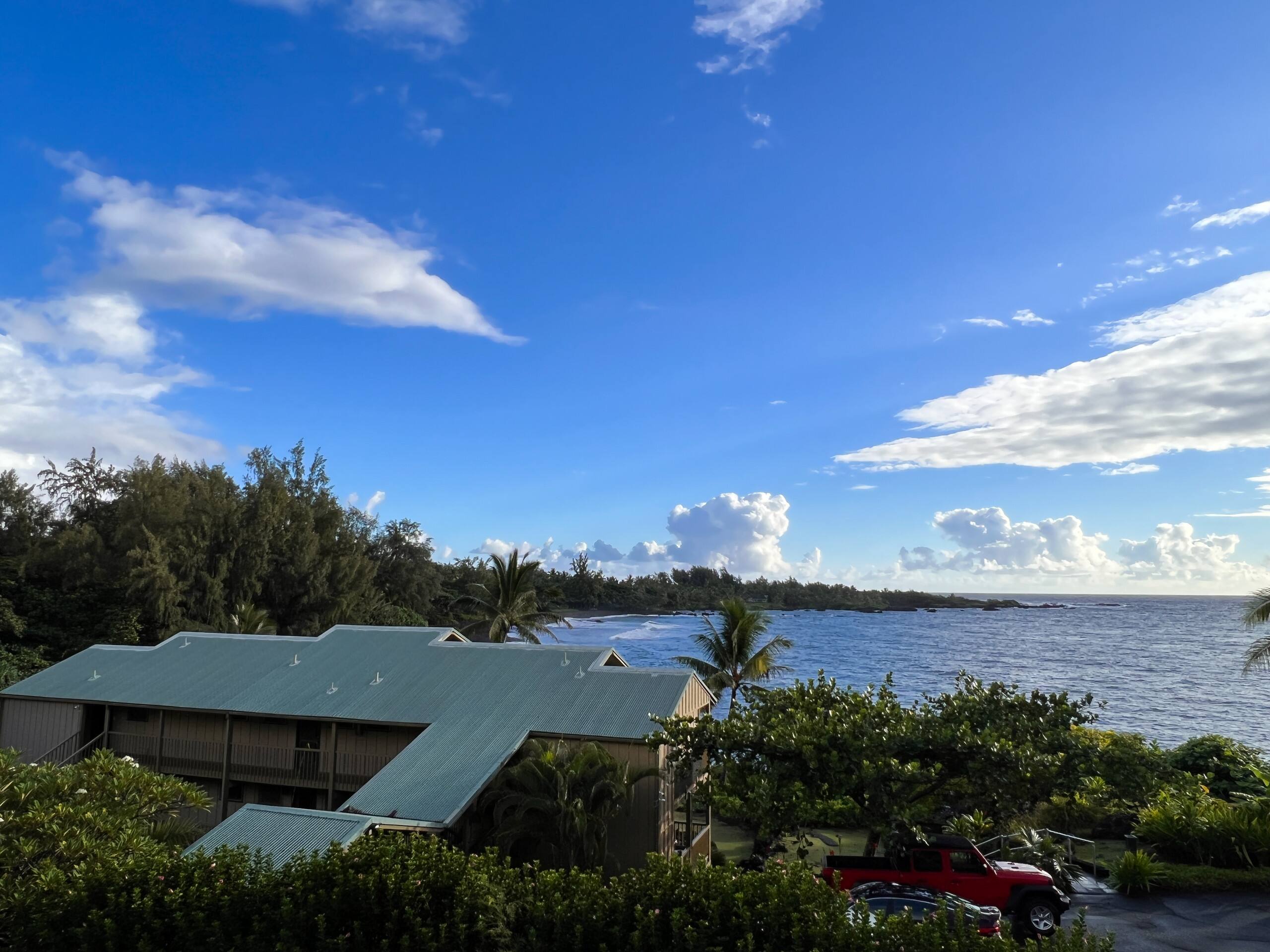 Condo in Hana · ★4.72 · 1 bedroom · 1 bed · 1 bath - Photo 34