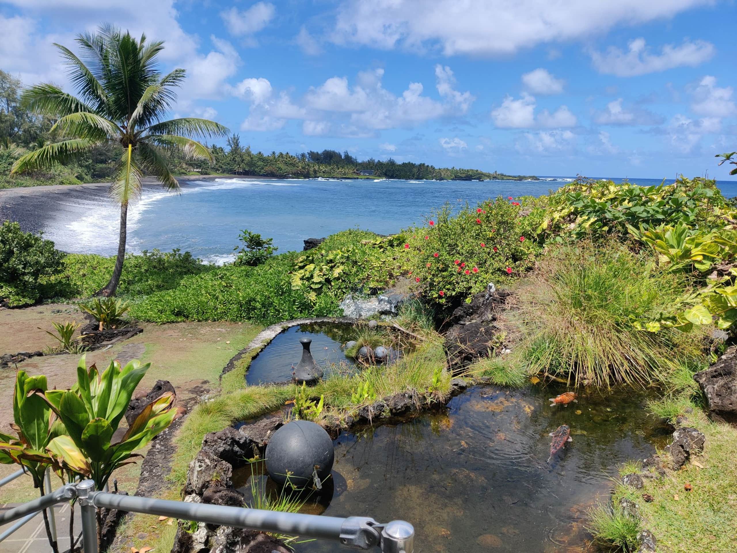 Condo in Hana · ★4.72 · 1 bedroom · 1 bed · 1 bath - Photo 14