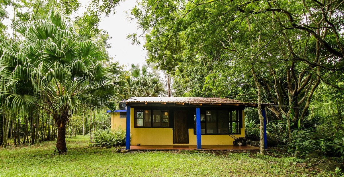A charming cabin is nestled amidst lush greenery, featuring large windows framed with vibrant blue accents. A natural wood door invites entrance, while a canopy of trees provides shade and a serene atmosphere.