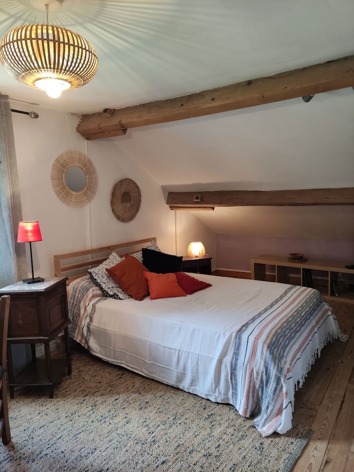 Chambre Avec Salle De Bain Privée - Auch - Auch