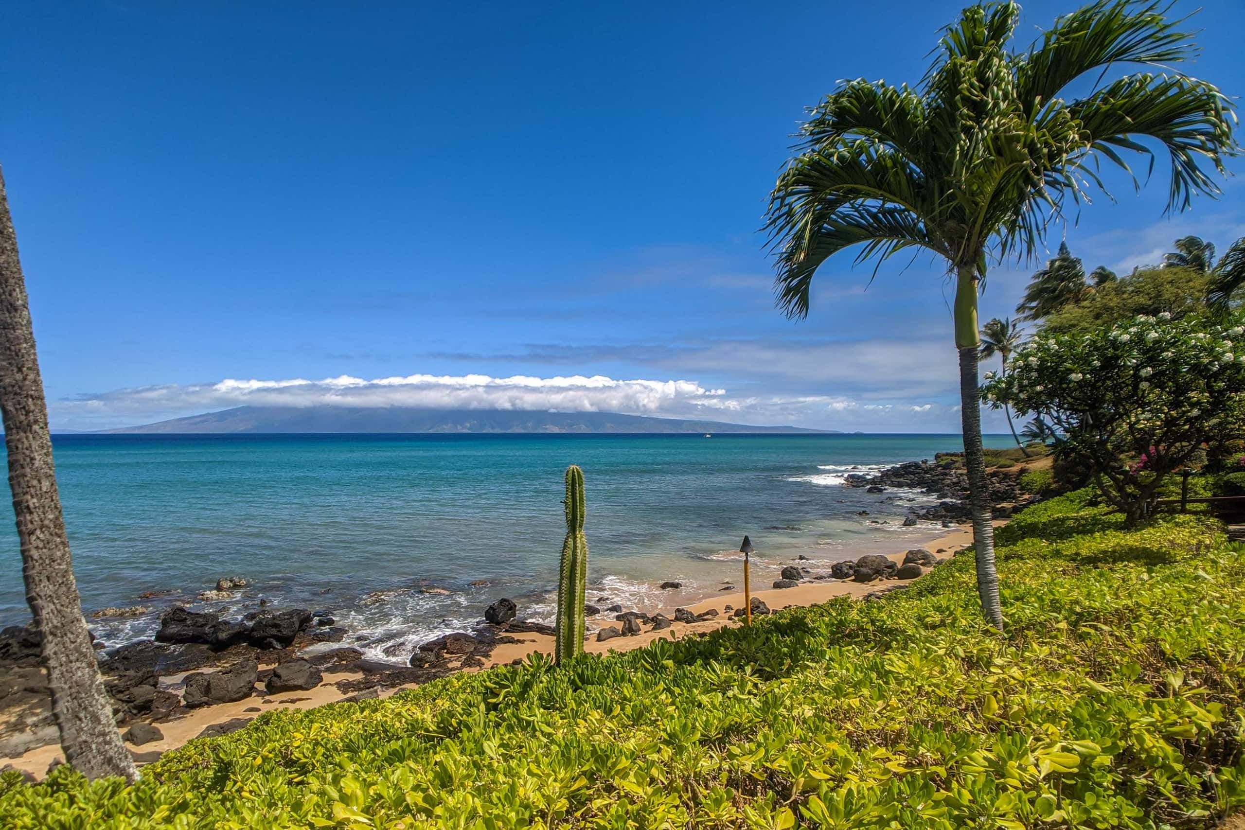 Condo in Lahaina · ★4.98 · 1 bedroom · 1 bed · 1 bath - Image 15