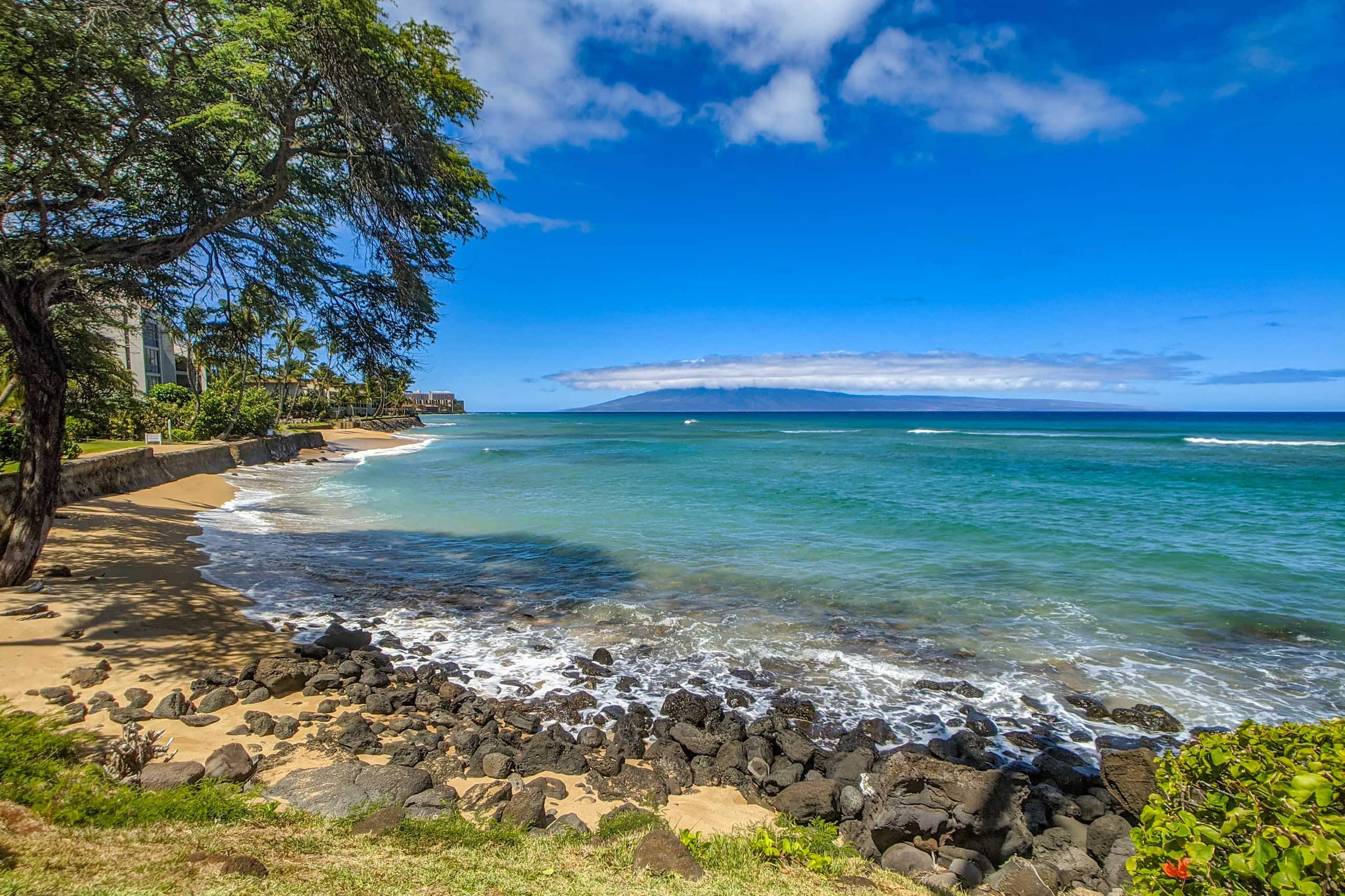 Condo in Lahaina · ★4.98 · 1 bedroom · 1 bed · 1 bath - Image 20