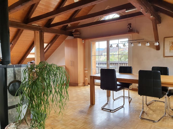 Rebstein Holiday Rentals & Homes St. Gallen, Switzerland Airbnb