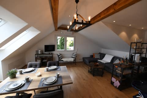 Beautiful apartment with a view of Lake Constance