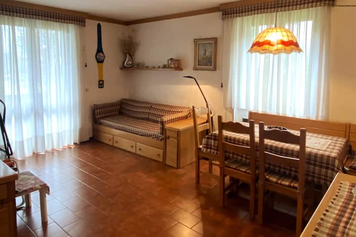 Trilocale Accogliente Con Camino - Pinzolo