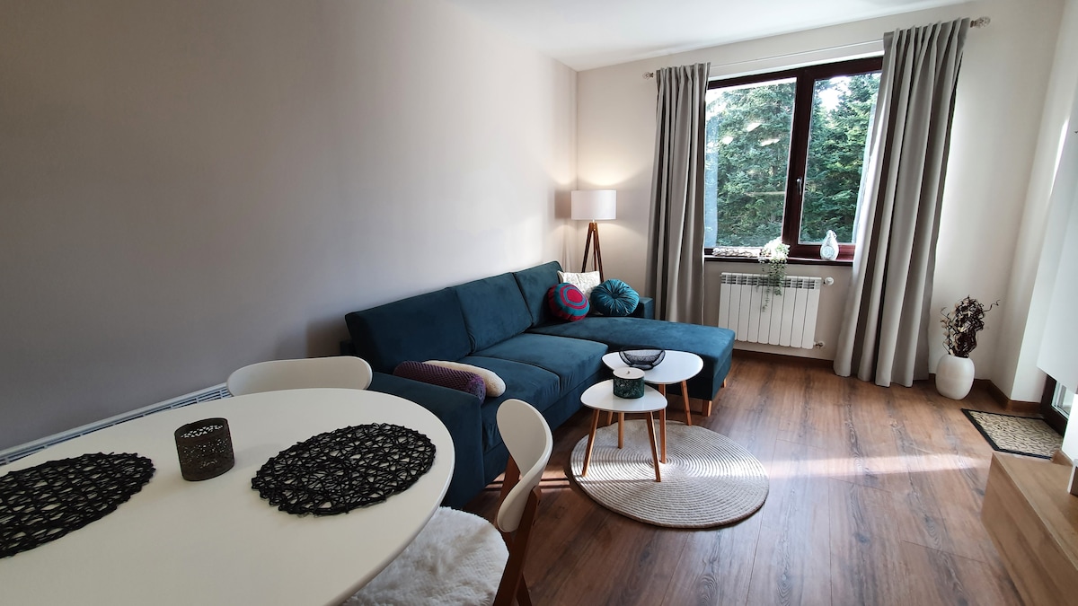 A living area features a dark blue sectional sofa, with colorful cushions adding subtle contrast. A round coffee table and a smaller side table are positioned on a light area rug. A dining table is set with placemats, and natural light enters through a large window framed by light curtains.