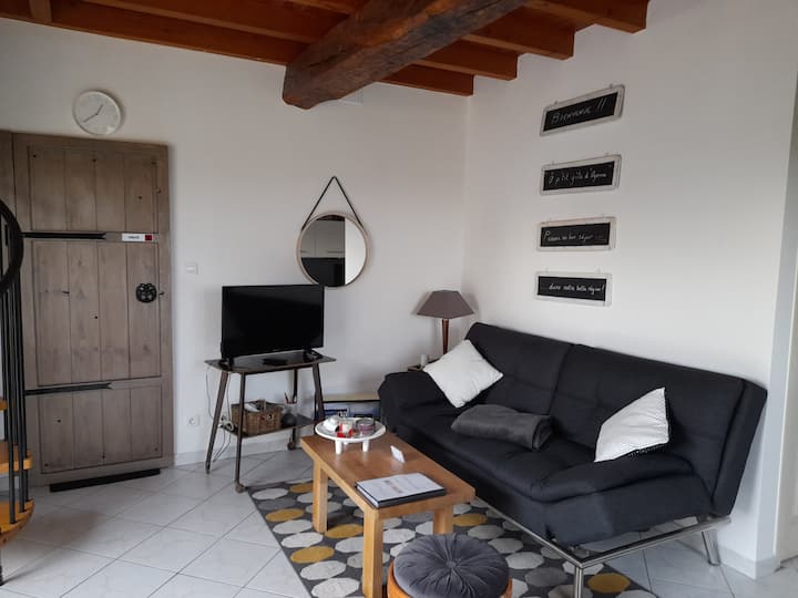 Gîte éQuipé Et Fonctionnel, Avec Jardin  Au Calme. - Navarrenx