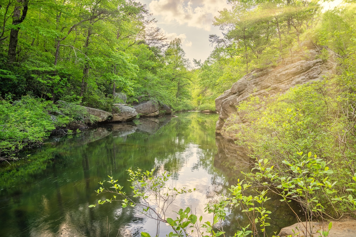 A serene natural landscape features a calm, reflective body of water surrounded by lush greenery. Large rocks frame the scene, and sunlight filters through the trees, creating a peaceful atmosphere in the heart of nature.