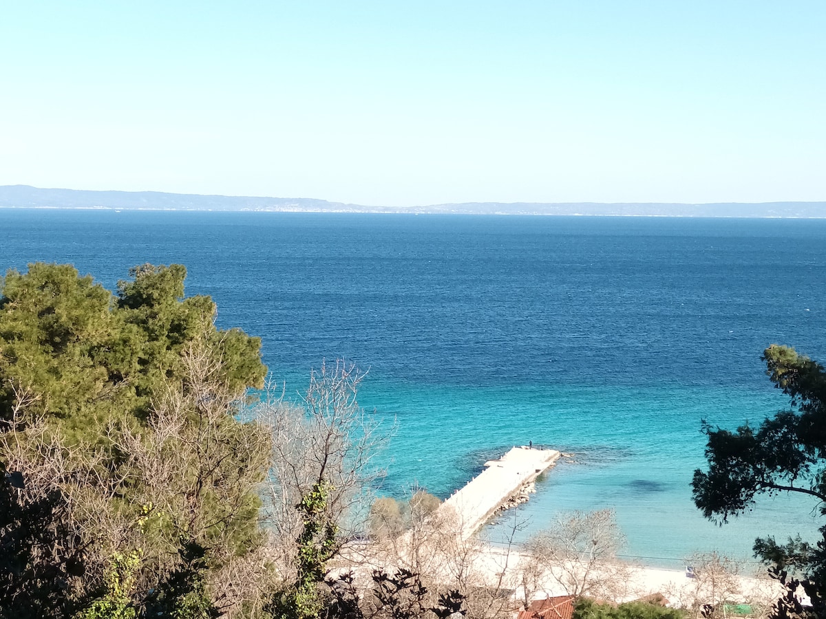 A serene coastal view reveals a clear turquoise sea meeting a light blue sky. A wooden pier extends into the water, with a couple of figures at its edge. The foreground is framed by greenery, enhancing the natural beauty of the beach setting.