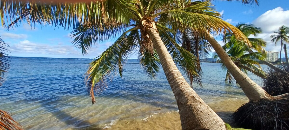 Tall palm trees frame a serene shoreline, their fronds swaying gently over the calm, clear waters of the beach. The sandy beach blends with shallow waves, reflecting the blue sky dotted with soft clouds. A tranquil coastal setting is presented.