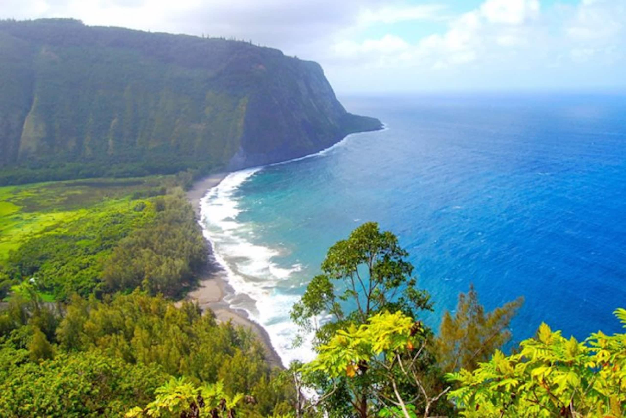 Townhouse in Waimea · ★5.0 · 3 bedrooms · 3 beds · 3 baths - Image 43