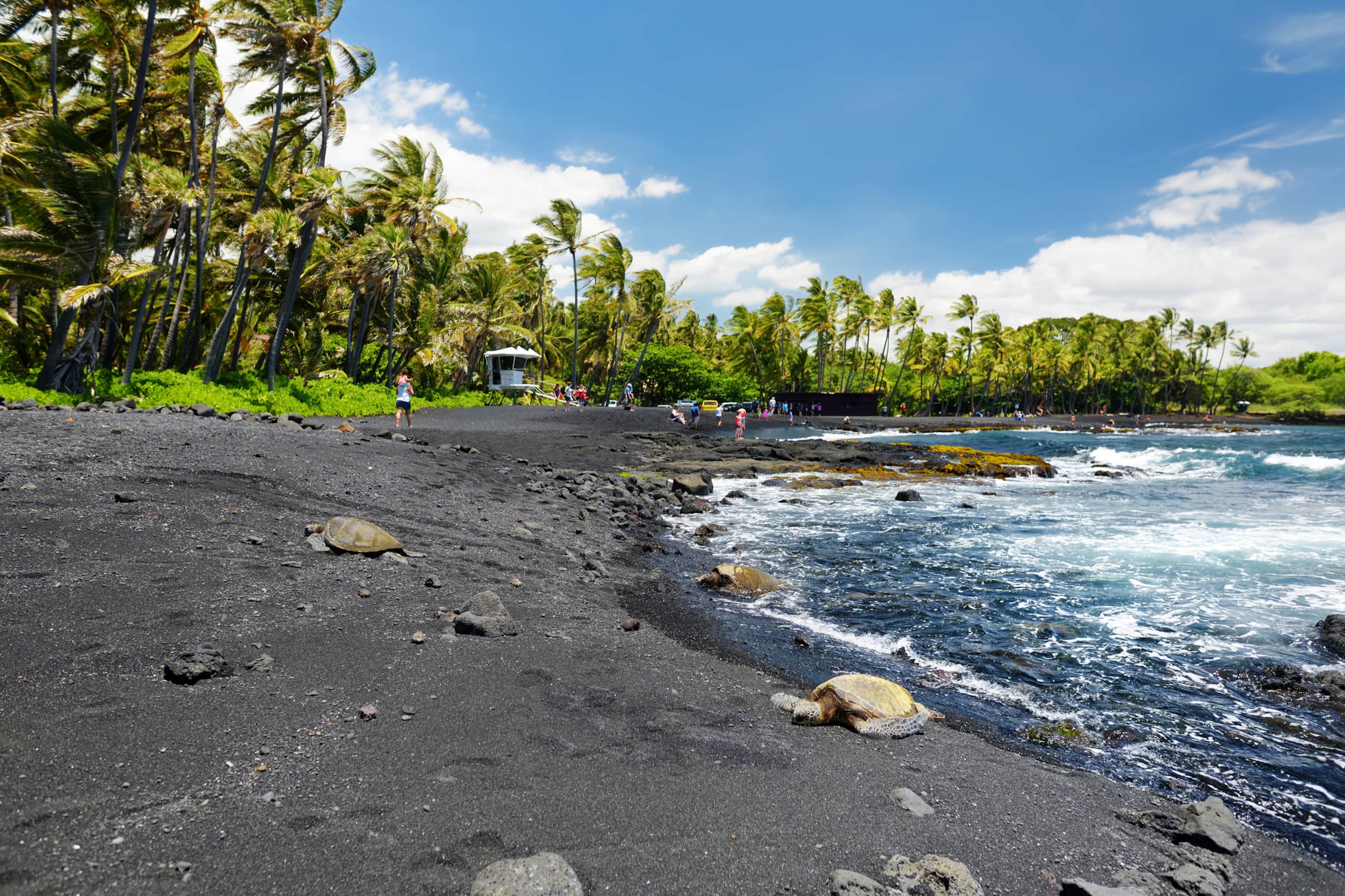 Townhouse in Waimea · ★5.0 · 3 bedrooms · 3 beds · 3 baths - Image 46